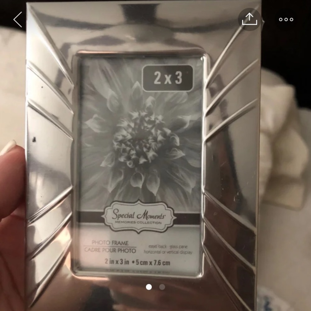 22 silver colored silver picture frames